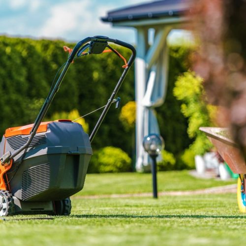 Backyard Summer Maintenance