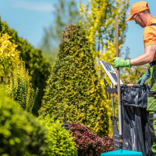 Garden Seasonal Maintenance