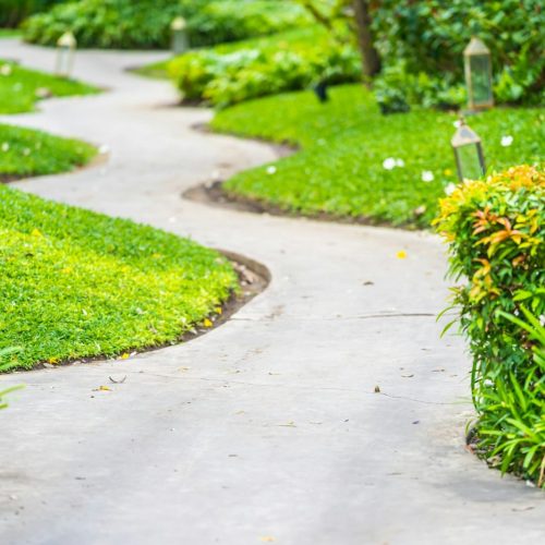 Walk or running path in the garden